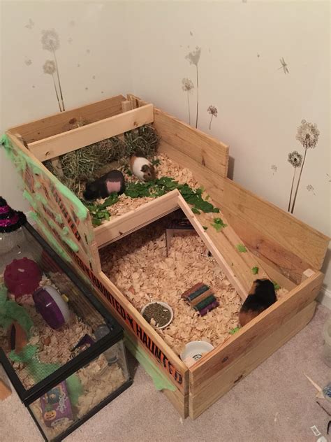 diy guinea pig cage|custom built guinea pig cages.